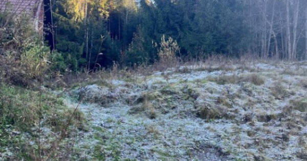 Teren intravilan, 20000 mp, zona Manastirea Humorului