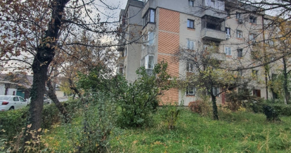 Apartament 4 camere, zona Vest, pe strada Domnisori