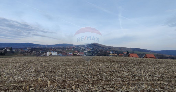 Teren intravilan de vanzare in Salicea, 3000 MP