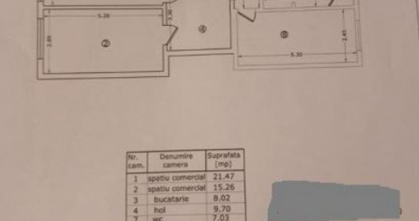 Zona Romana Amzei Demisol 82 mp fost Club curte