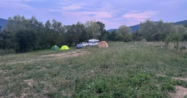 Teren la Munte in Arges - zona Bradulet