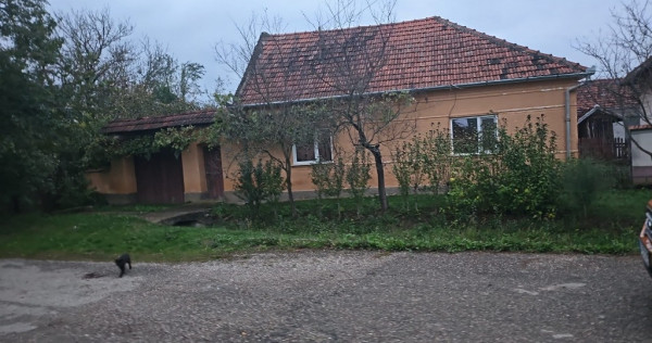 Casa la tara Teiu, Hunedoara, langa Deva