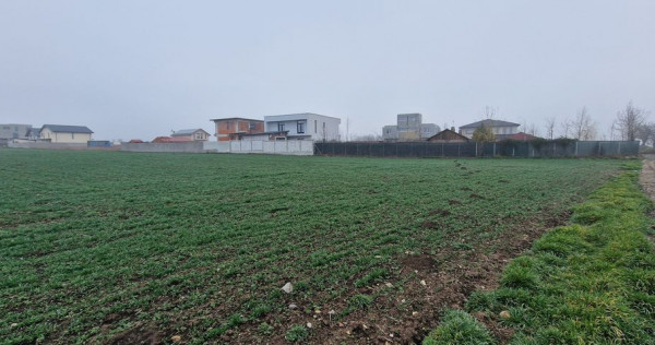 Ovidiu- Poiana, teren intravilan ideal pentru constructie...