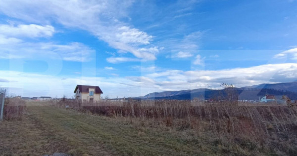 Urgent !Teren intravilan cu utilitati - Zarnesti