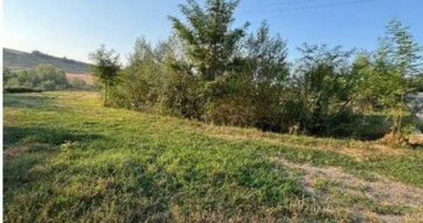 Teren partial intravilan Romani, judetul Neamt, ID: R2326723