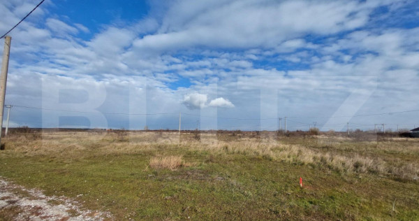 Teren arabil, 25 ha, Sinmihaiul Roman