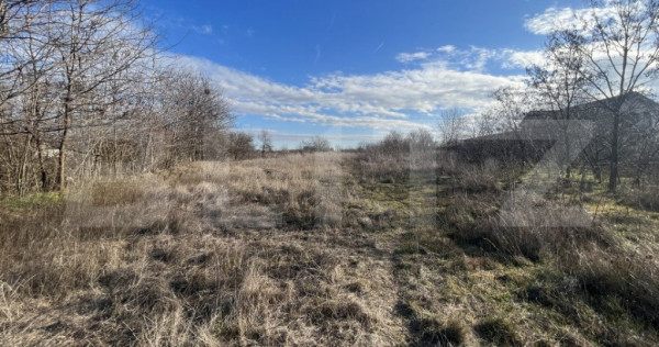 Teren 1100/2200 mp, zona Cosoveni-Profi