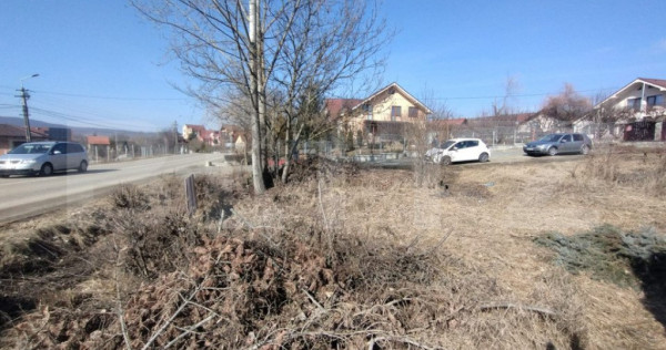 Teren intravilan 500mp(5 ari)la drumul pricipal,Valea Sigmir