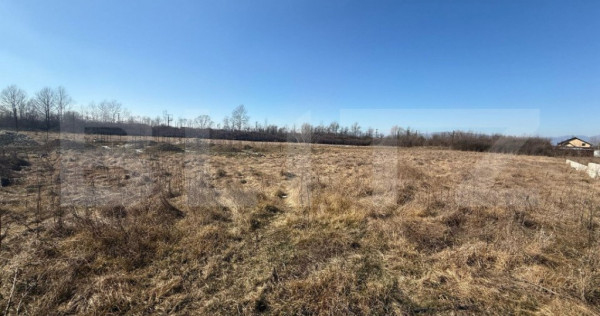 Terem intravilan de vanzare, 2.574 mp, zona Dragutesti