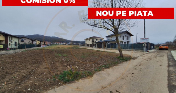 Teren intravilan Brăileni-Valea Ursului, Toate Utilitatile