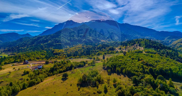 Comision 0! Teren Rasnov- Strada Valea Panicelului, 2263mp