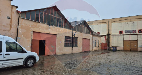 Hala 450 mp Sanicolaul