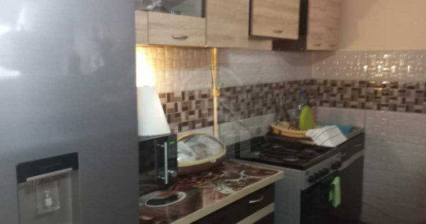 Apartament 1 camera la mansarda,zona Porii