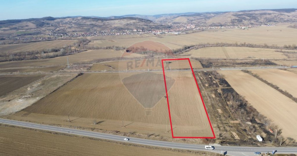 Teren extravilan 10000 mp langa Medias - oportunitate de ...