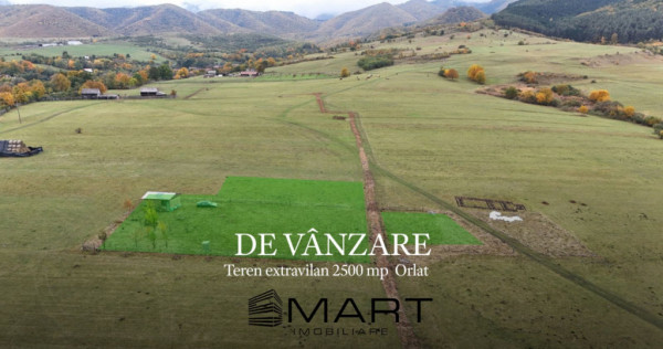 Teren extravilan 2500 mp in Orlat