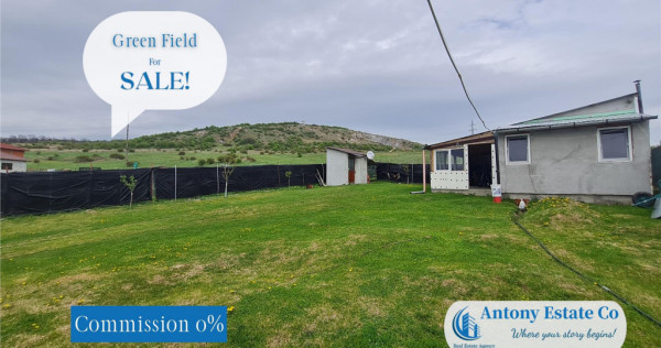 Green Field - casa de , 10 KM de Oradea, Betfia, Bihor