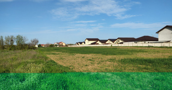 Teren investitie Cernica, Posta