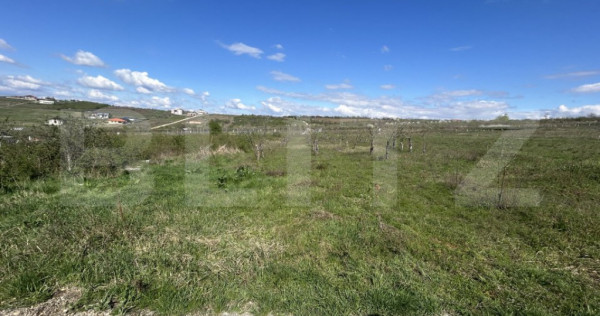 Teren intravilan de vanzare, 1153 mp, zona Iorga