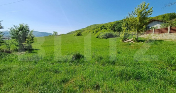 Teren intravilan de vanzare, 5000 mp, zona Viisoara, langa M