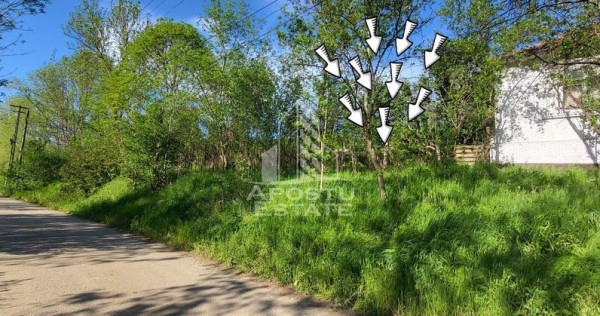 Teren intravilan, In Rate Cuied Arad