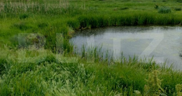 Teren intravilan in spatele Peugeot, 3600mp, 11m deschidere