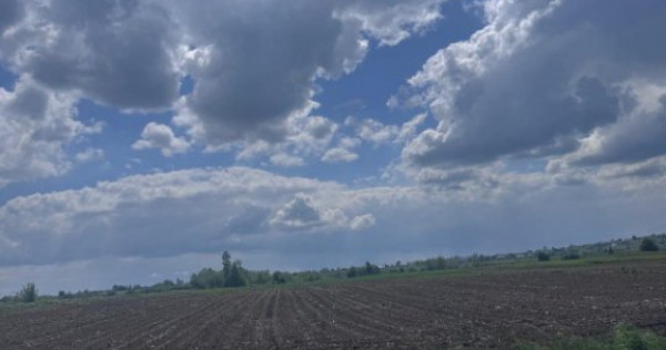 Teren extravilan, 7800mp, Burla