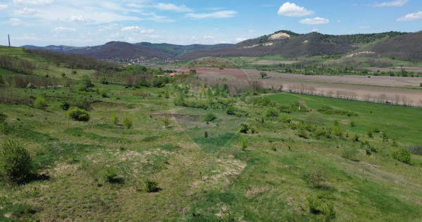 Domeniu - 66 Hectare - Teren deosebit Copsa Mica cu desch...