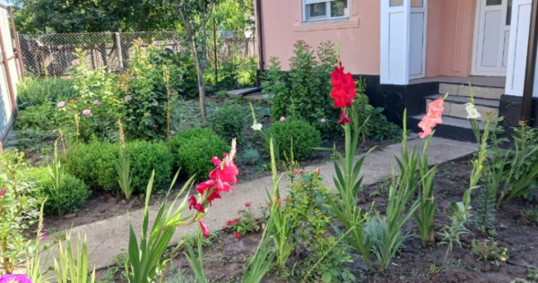 Harlau, Iași. Casa.