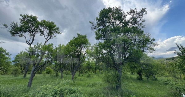 Teren extravilan de vanzare, 5305 mp, in apropiere de Hațeg