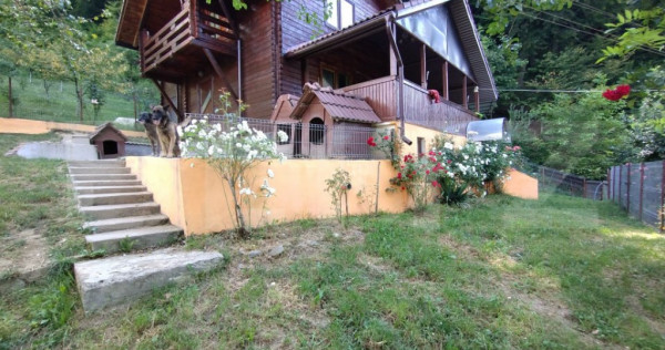 Cabana 3 cam,2 nivele 100 mp+teren extravilan 2,5 ha+1 ha pa