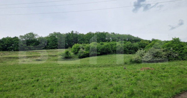 Teren extravilan de v&acirc;nzare Vlaha 14.500 mp, zonă superbă