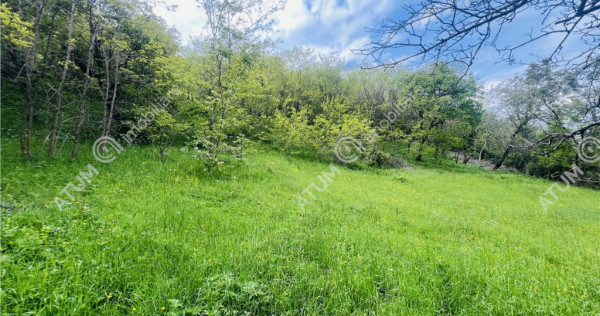 Teren intravilan de 1811 mp situat in Sibiel judetul Sibiu