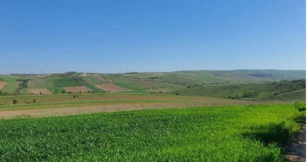 Cota de 1/2 din teren extravilan, comuna Rogova, Jud Mehe...