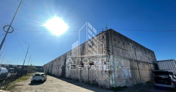 Hala P+E1 3000 mp utili, teren 4330, Dumbravita