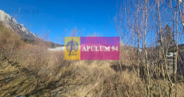 Teren intravilan de vânzare în Bușteni - Zona centrala