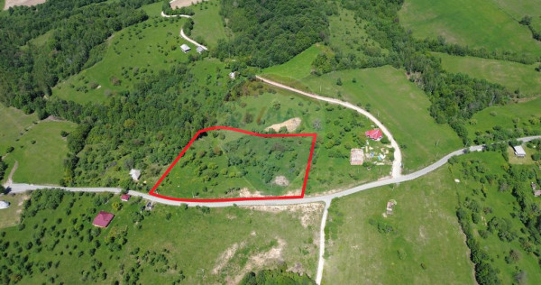 Teren intravilan de vanzare 12,700mp Codru Butesii / Stra...