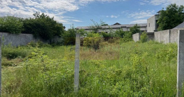 Teren Ghencea- Dantelei- Darvari.