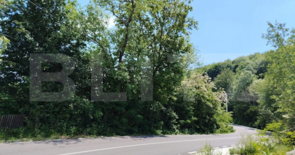 Teren intravilan Pietrosita