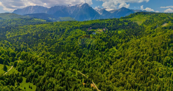 Teren extravlan 14,400mp Paraul Rece / Strada 3 brazi