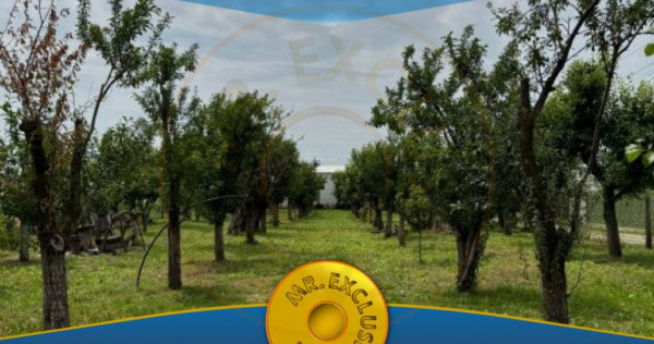 Teren Intravilan - Str. Gorganu, Calinesti - 1268 mp!