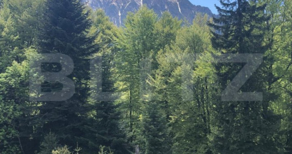 De vanzare, teren intravilan 10650mp, Predeal