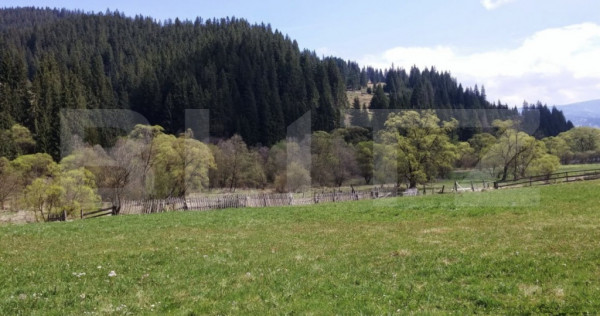 Teren intravilan în Vatra Dornei, 1299 mp