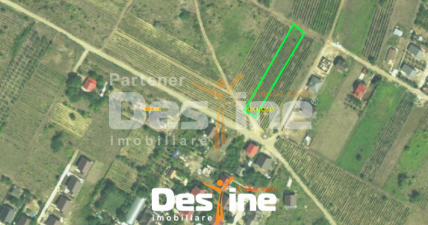 Teren Chicerea, 1250 mp, zonă &icirc;n plină dezvoltare, 25 eur