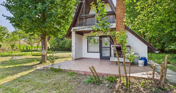 Căsuță de vacanță – cu POTENȚIAL DE INVESTIȚIE