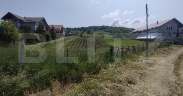 ???? Teren Intravilan Versatil: Ideal pentru Casă sau Inves