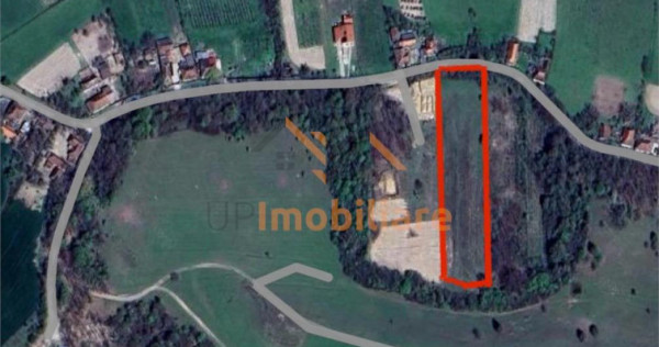 TEREN INTRAVILAN 5.995 MP | COMUNA SUMUGIU | BIHOR