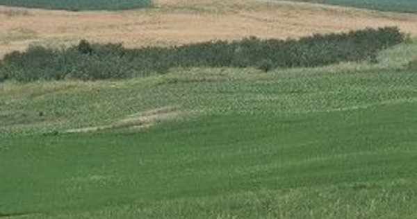 Teren Extravilan Aroneanu, ID: R2577828