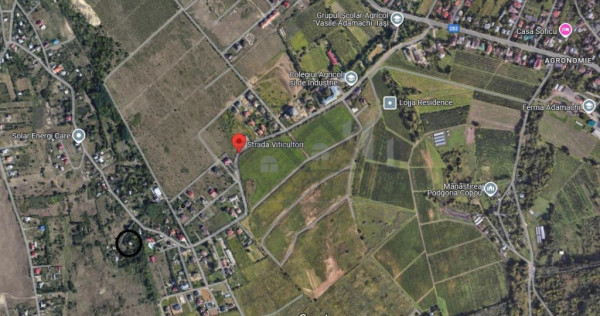 Viticultori Copou teren 4000mp (6loturi)cu Puz realizat