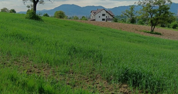 Satu Nou de Sus, 40 ari teren