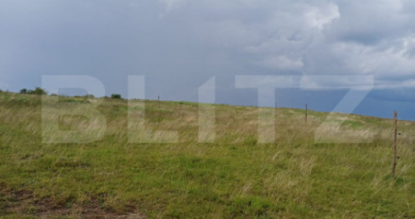 Teren extravilan 1248 mp in Copaceni! Oportunitate investiti